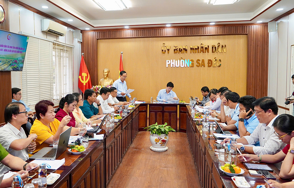 Khẩn trương chuẩn bị cho Festival Hoa - Kiểng Sa Đéc lần II